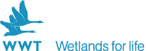 Work opportunities and volunteering at WWT
