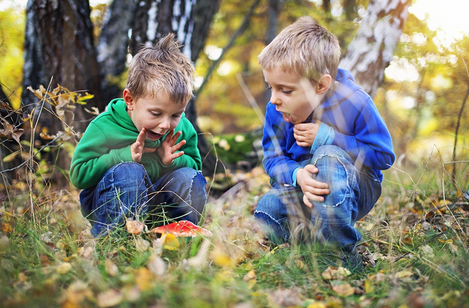 Get ready for a spellbinding October half term at WWT Washington