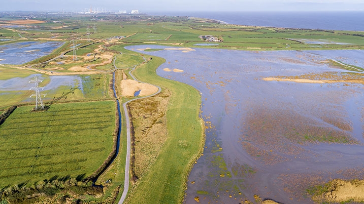 WWT Steart Marshes and Bridgwater Nay NNR