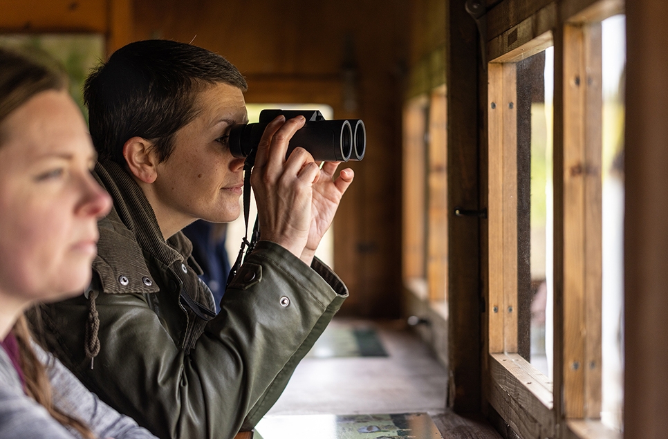 Optics Demo Event