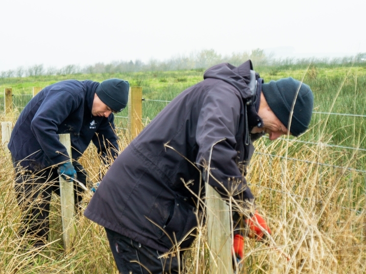 From keyboard clacker to chainsaw wielder: The Wilder, Wetter Caerlaverock Diaries no.7