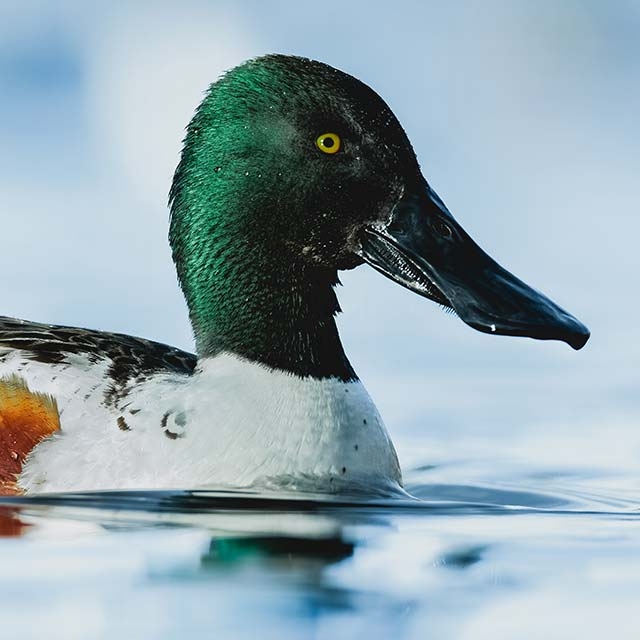 Wildlife Sightings for 20th September 2025