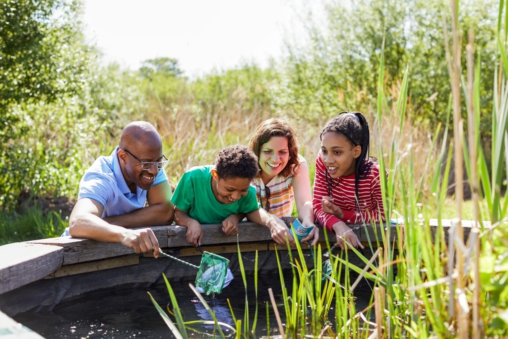 View: Summer SEND Family Day