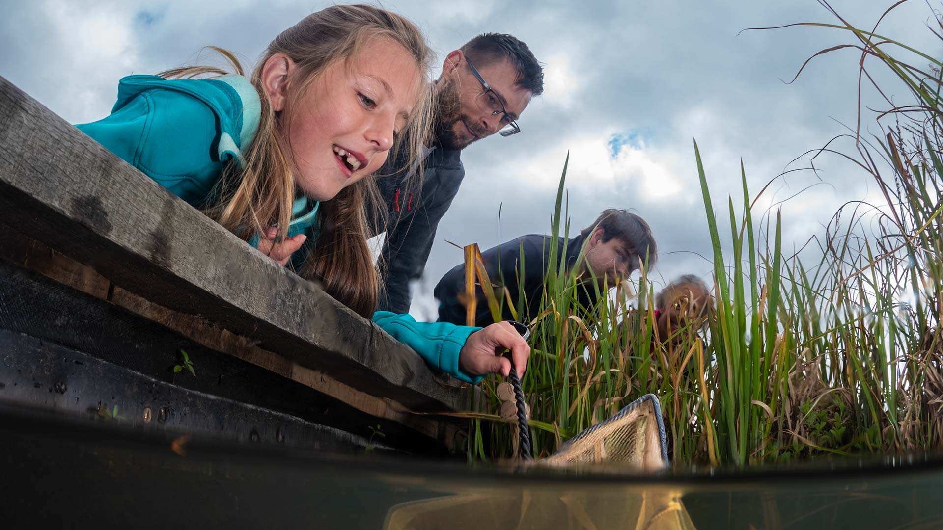 A girl leans over the edge of a pond with a net dipped into the water